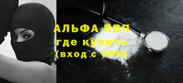 крисы Баксан