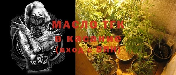крисы Баксан