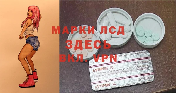 крисы Баксан