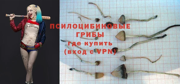 крисы Баксан