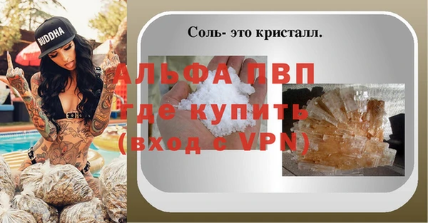 крисы Баксан