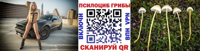 Псилоцибиновые грибы мухоморы  что такое наркотик  Гулькевичи 